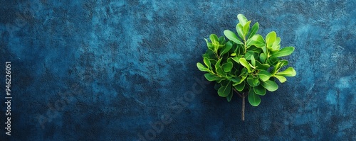 HR strategy, well-being-driven, employee benefits, modern solutions, retention-focused, blue background, text space.