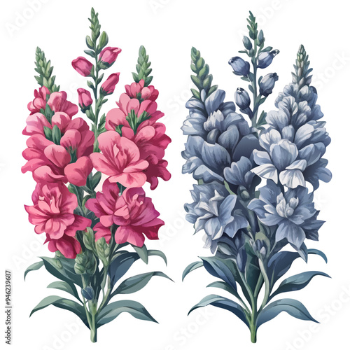 Watercolor Style Illustration of Pink and Blue Snapdragon Blooms