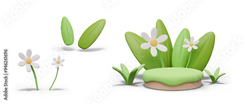 Green empty lawn with flowers, leaves, grass. Nice scene for eco goods, organic concepts