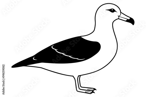 Black-browed Albatross Vector Illustration – Minimalist Design with Elegant Wingspan photo