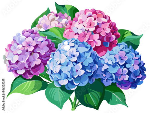 Beautiful Colorful Hydrangeas with Green Leaves Illustration - Vibrant illustration of a hydrangea flowers featuring flowers with green leaves. Perfect for themes of nature, florals, and decoration.