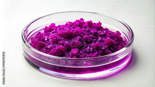 Purple potassium permanganate crystals in a petri dish surrounded by a faint pinkish-purple solution, on a white background, under bright laboratory lighting. photo