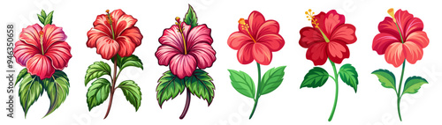 Vibrant Hibiscus Flower with Green Leaves Illustration - Illustrated image of a vibrant hibiscus flower with green leaves. Ideal for tropical themes, nature-inspired designs, and botanical projects.