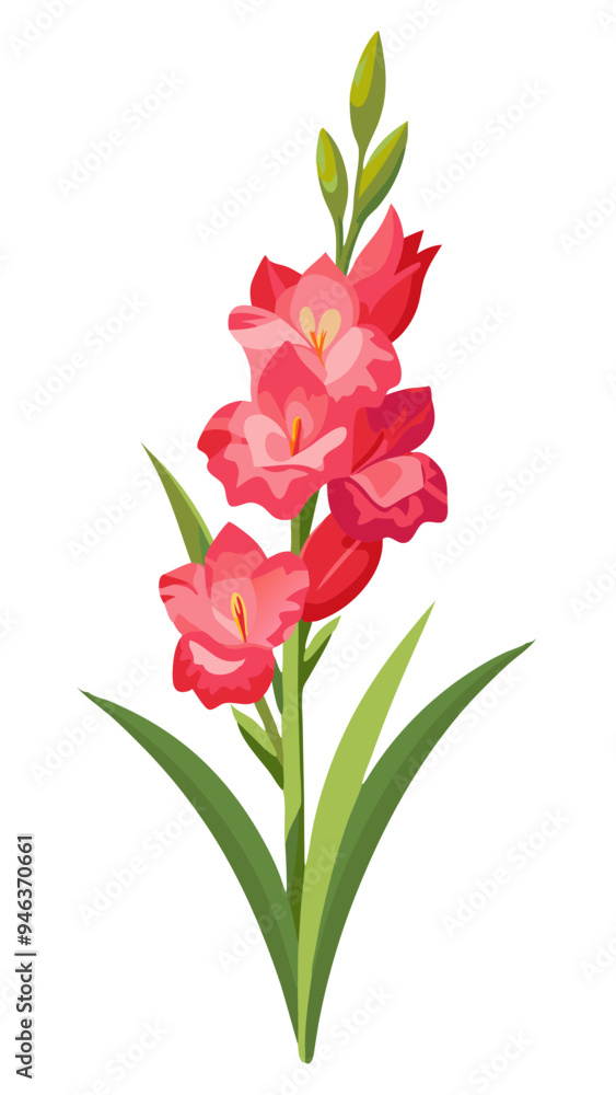 Vibrant Gladiolus Flower Illustration With Leaves- Colorful and detailed illustration of a gladiolus flower with vibrant petals and green leaves, capturing the essence of nature's beauty and elegance. Vibrant Gladiolus Flower Illustration With Leaves- Colorful and detailed illustration of a gladiolus flower with vibrant petals and green leaves, capturing the essence of nature's beauty and elegance.