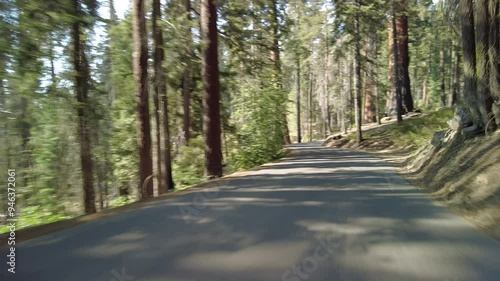 Sequoia National Park Crescent Meadow Road 14 MultiCam Front View Driving Plate California USA photo