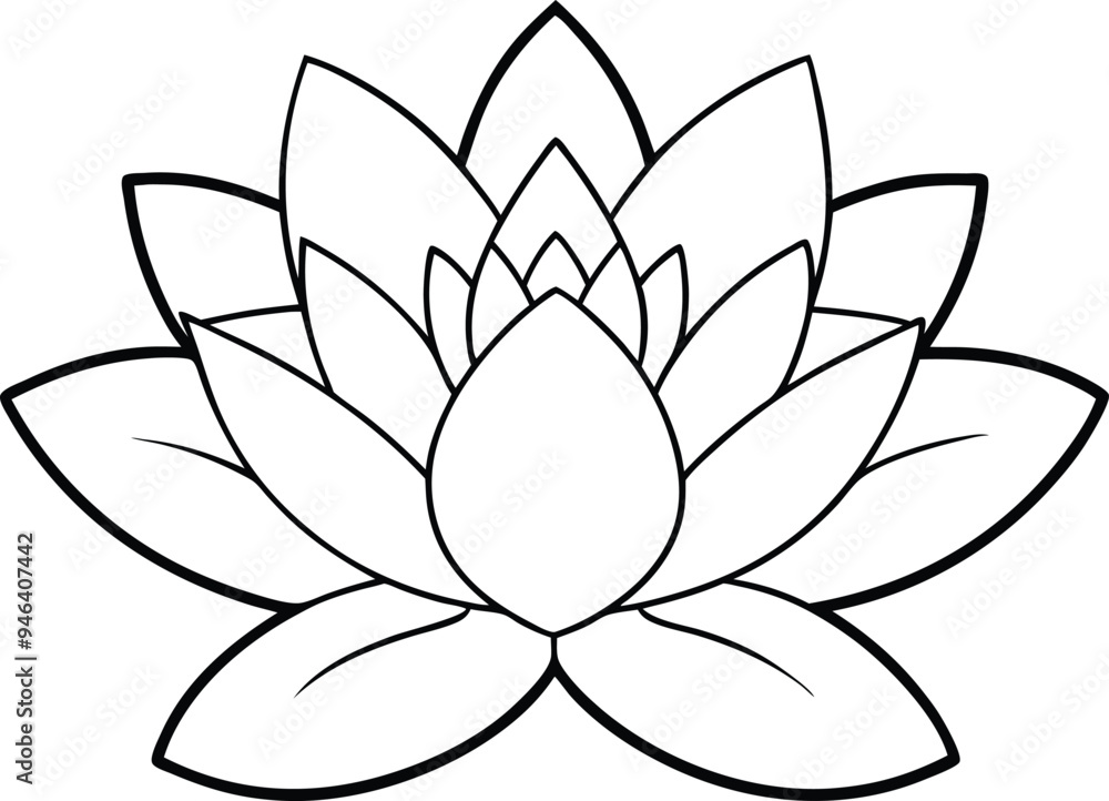 Delicate Water Lily Outline Art Delicate Water Lily Outline Art