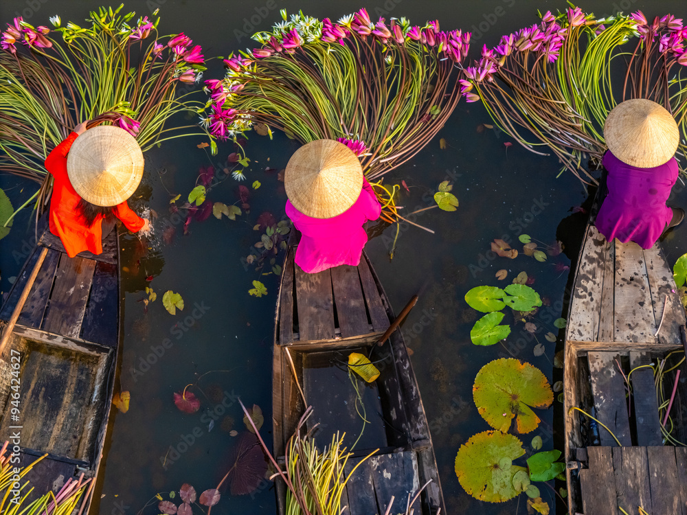 Ταπετσαρία Aerial view of rural women in Moc Hoa district, Long An province, Mekong Delta are harvesting water lilies