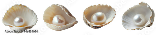 Pearls of the Ocean: Four pristine pearls nestled in their delicate shells, isolated on transparent background, a testament to nature's beauty and elegance. 