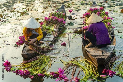 Wallpaper Mural view of rural women in Moc Hoa district, Long An province, Mekong Delta are harvesting water lilies. Water lily is a traditional dish here Torontodigital.ca