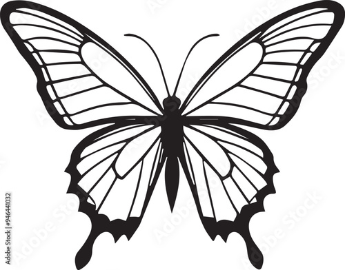 Vector image of a butterfly on a white background