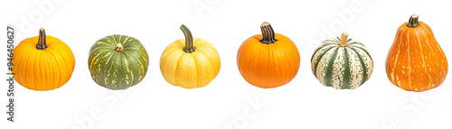 A colorful collection of pumpkins showcasing various sizes and shapes, perfect for fall and seasonal decor. photo