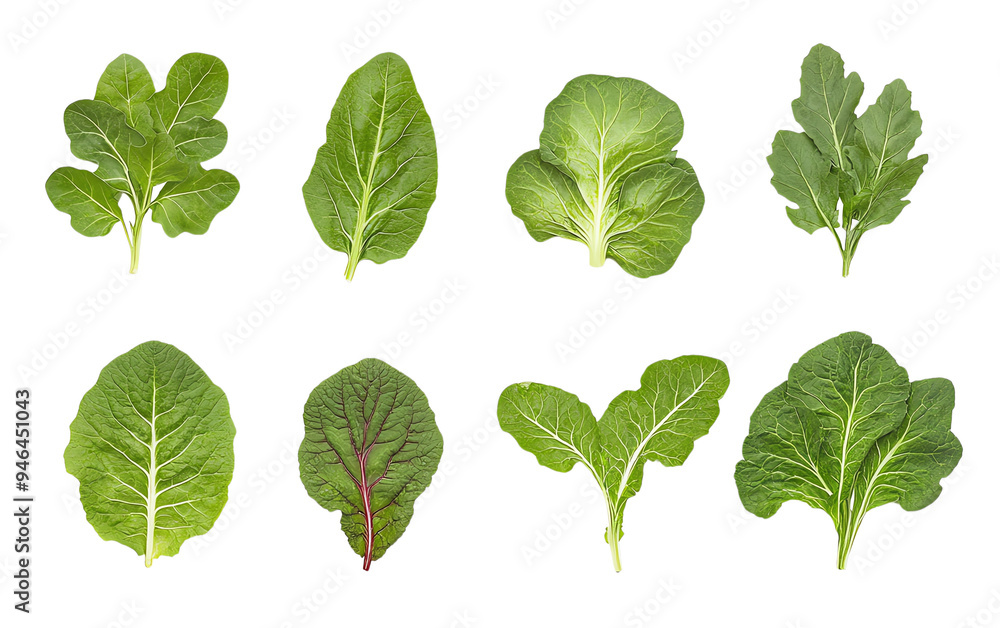A variety of fresh green leafy vegetables arranged in an artistic layout, ideal for health and nutrition themes. A variety of fresh green leafy vegetables arranged in an artistic layout, ideal for health and nutrition themes.