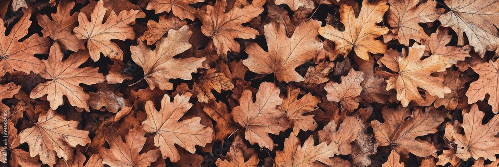 Brown leaves blanket the ground in a tranquil woodland, capturing the essence of autumn on a clear day Brown leaves blanket the ground in a tranquil woodland, capturing the essence of autumn on a clear day