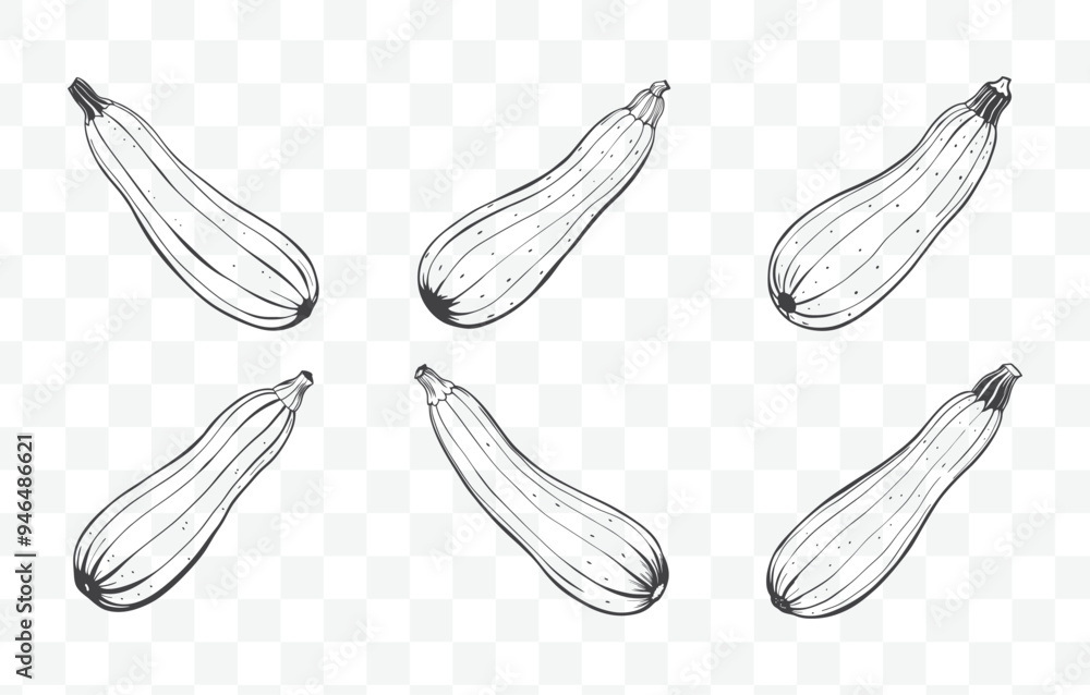 Print Comprehensive Zucchini Line Art Vector Set Featuring Detailed Illustrations of Zucchini Variants for Artistic and Design Use Print Comprehensive Zucchini Line Art Vector Set Featuring Detailed Illustrations of Zucchini Variants for Artistic and Design Use