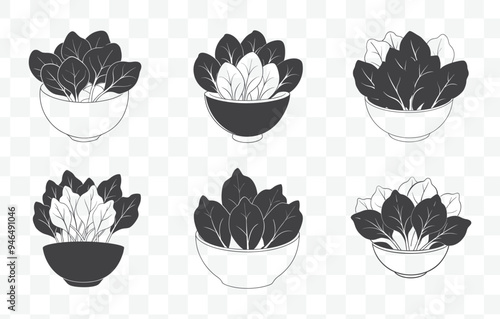 Print Spinach Plant and Leaf Detailed Line Art Vector Set for Illustrations Design and Art Projects