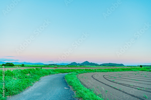 鹿児島　指宿市　田舎道 photo