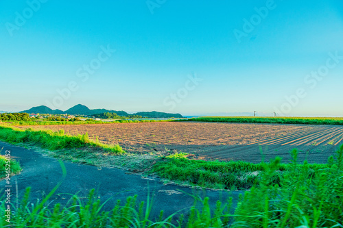 鹿児島　指宿市　田舎道 photo