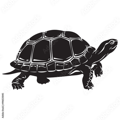 Turtle Vector Silhouette, Aldabra Giant Tortoise silhouettes and icons, sea turtle logo tattoo design stencil vector illustration