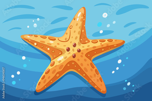 starfish on the beach