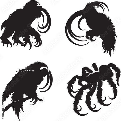 Goliath Birdeater silhouette