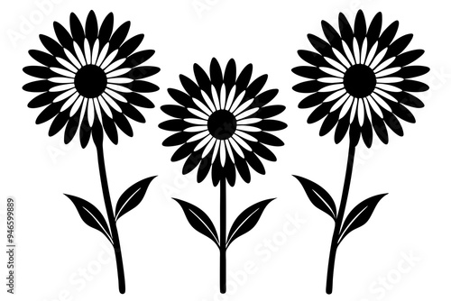 set of daisy flower silhouette vector on white background