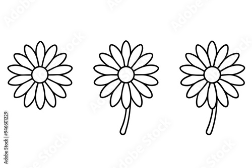 set of daisy flower line art on white background