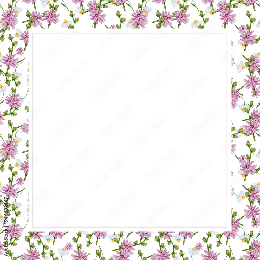 Frame design set delicate wild flowers on white background Frame design set delicate wild flowers on white background