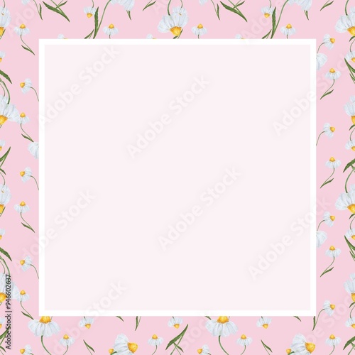 Delicate frame design floral pattern on pink background. Isolated watercolor flowers daisies.