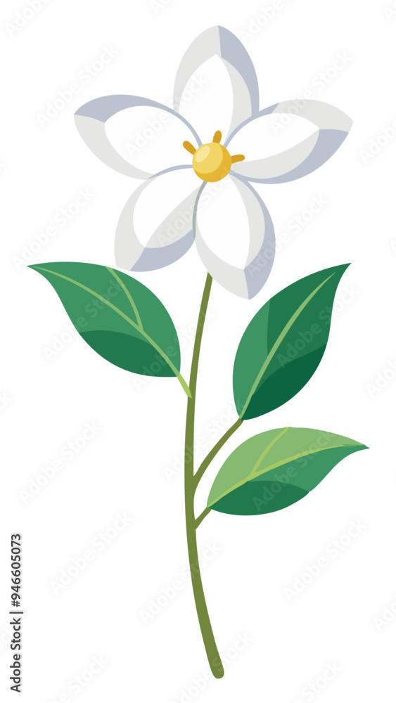 Obraz premium Illustration Of Jasmine Flowers With Leaves -looming jasmine flowers with vibrant green leaves. Perfect for botanical art, nature themes, and floral designs conveying freshness and elegance.