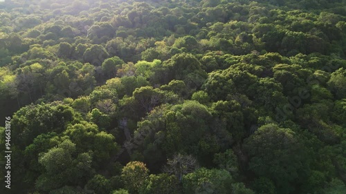 aerial tilt up view of the huge green forest of Karimunjawa during an golden sunset - Indonesia photo