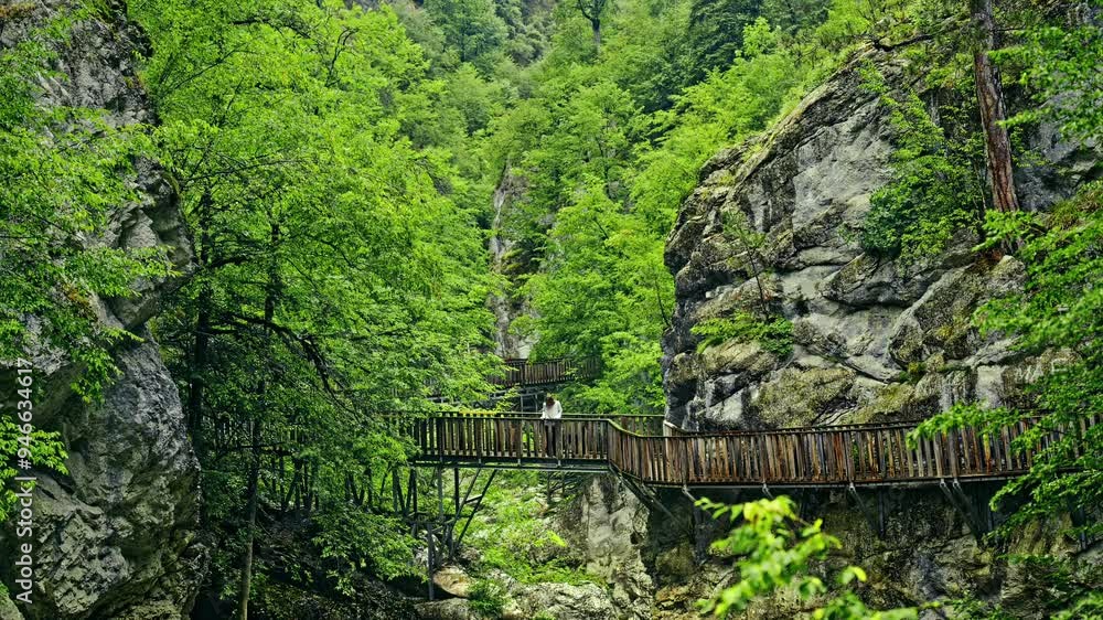 A serene view of a wooden boardwalk winding through lush green trees and towering rock formations in a peaceful forest setting. A woman and her dog pause to take in the natural beauty surrounding them A serene view of a wooden boardwalk winding through lush green trees and towering rock formations in a peaceful forest setting. A woman and her dog pause to take in the natural beauty surrounding them
