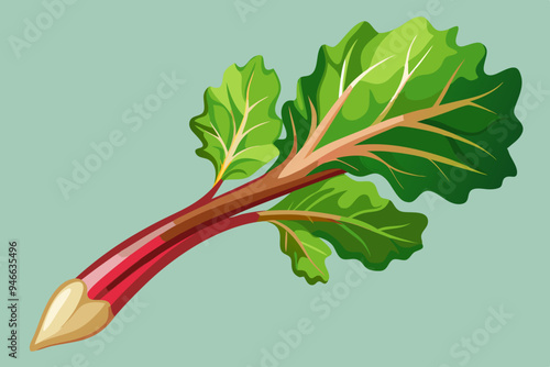 Rhubarb stalk, watercolor clipart illustration with isolated background.
