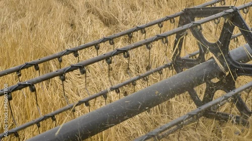 Combine harvester reel thrashing barley field photo