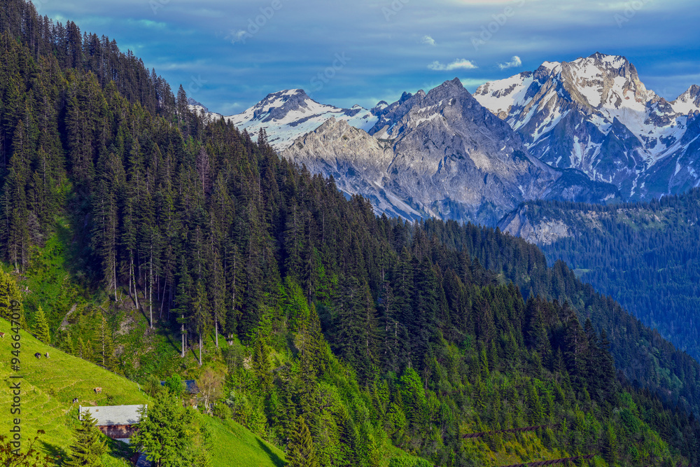 Obraz premium Blick von Faschina-Fontanella auf das Lechquellengebirge in Vorarlberg (Österreich)