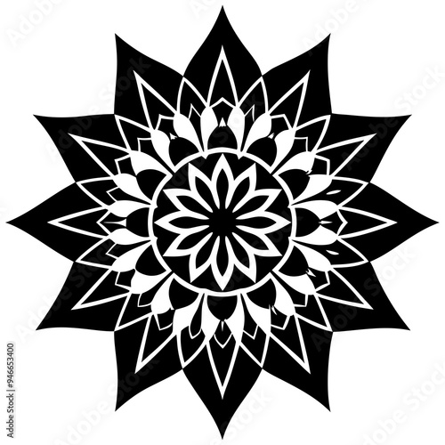 mandala design vector illustration