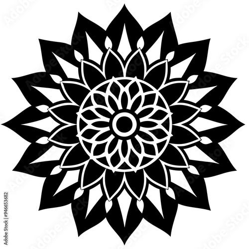 mandala design vector illustration