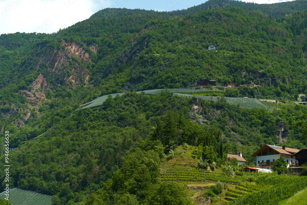Picturesque Italian Vineyards Nestled in Lush Green Hills Picturesque Italian Vineyards Nestled in Lush Green Hills