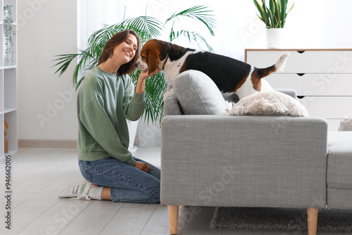 Young woman and adorable Beagle dog on sofa at home