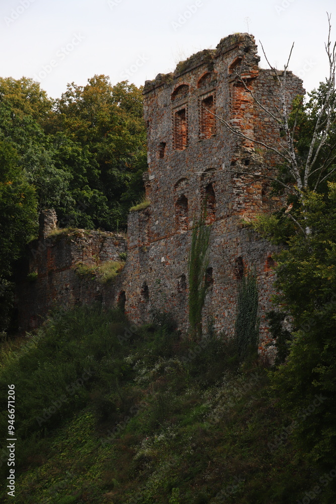 picturesque castle ruins in Międzygórze in Poland picturesque castle ruins in Międzygórze in Poland