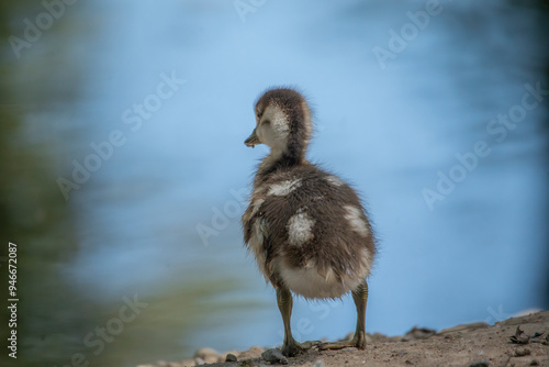 Wasserschloß Mitwitz 
