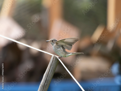 Wasserschloß Mitwitz