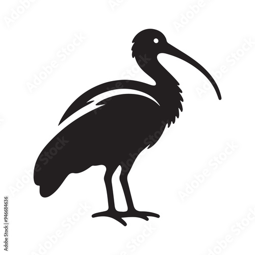 Black Headed Ibis Silhouette Vector Illustrations - Perfect for Designers photo