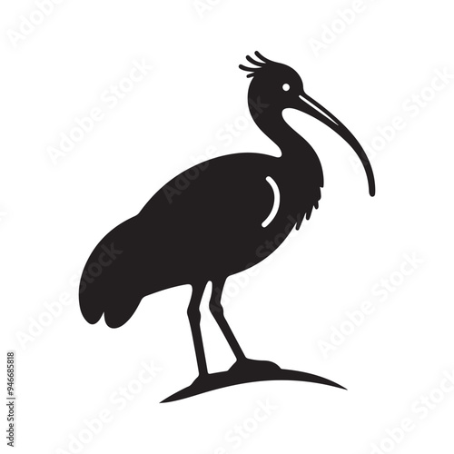 Black Headed Ibis Silhouette Vector Illustrations - Perfect for Designers photo