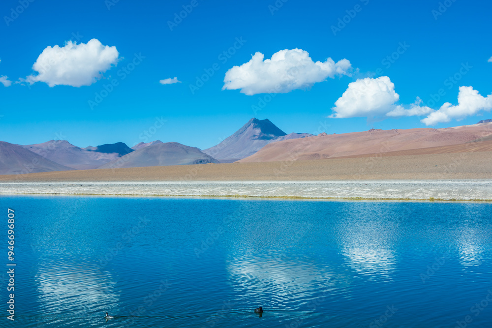 View of Laguna Diamante (Diamond Lagoon) and Cerro Pilli in the distance at the Route of the Salt Flats - Atacama, Chile View of Laguna Diamante (Diamond Lagoon) and Cerro Pilli in the distance at the Route of the Salt Flats - Atacama, Chile