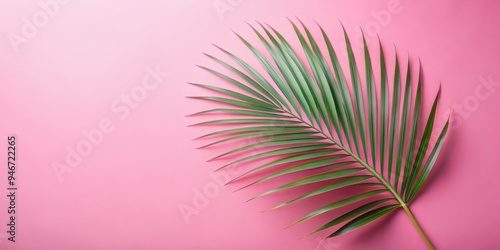 Tropical Palm Leaf on Pink ...