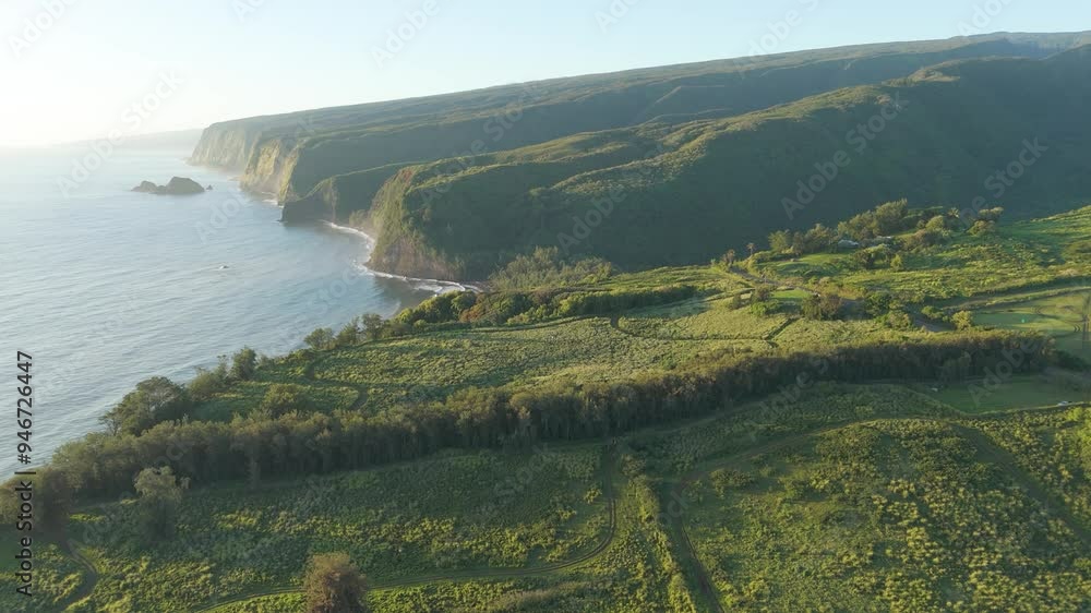 Aerial view of picturesque Pololu Valley with lush greenery and majestic cliffs overlooking the ocean, Kapaau, United States. Aerial view of picturesque Pololu Valley with lush greenery and majestic cliffs overlooking the ocean, Kapaau, United States.