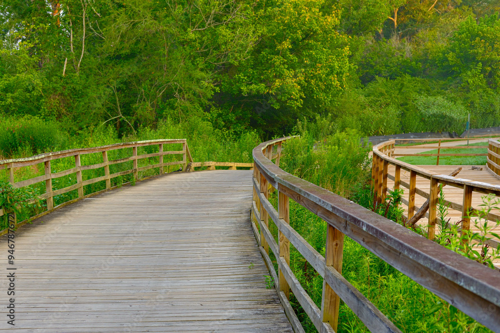 Scenes Along the Greeway Walking Trail in Forsyth County Georgia Scenes Along the Greeway Walking Trail in Forsyth County Georgia