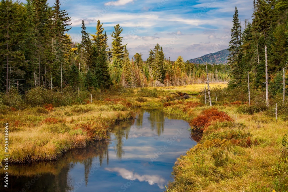 A wetland surrounded by a forest in Adirondack National Park in Upper New York A wetland surrounded by a forest in Adirondack National Park in Upper New York