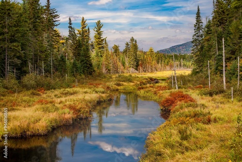 A wetland surrounded by a forest in Adirondack National Park in Upper New York