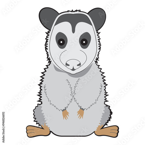 Cute Opposum